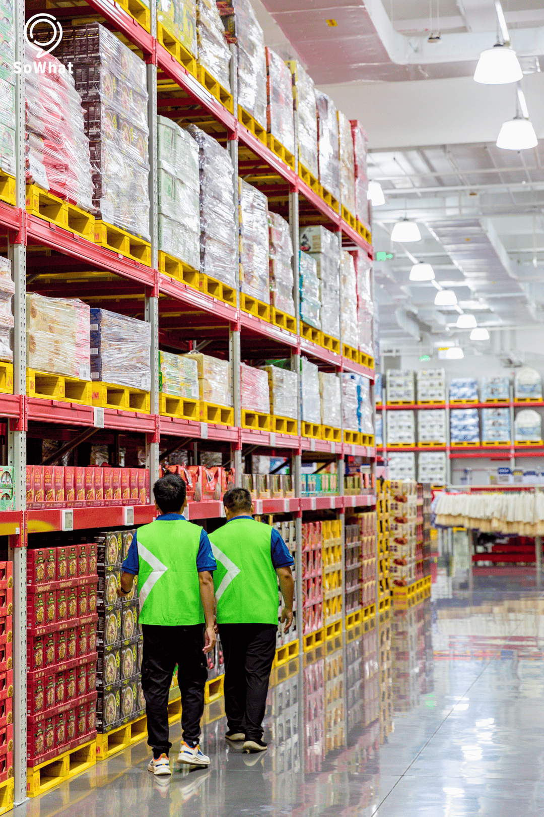 现货市场(现货市场连续运行地区有哪些)