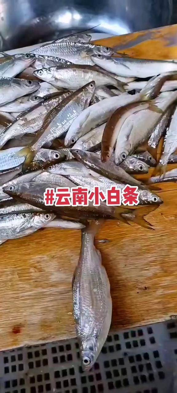 现货农产品(农产品现货交易员招聘骗局一天6小时)