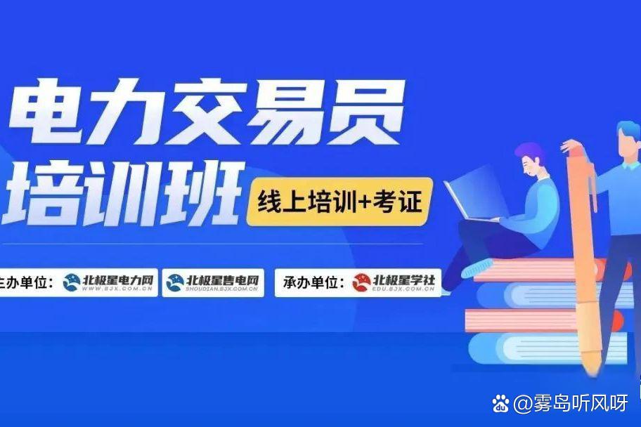 电力现货交易(电力现货交易策略)