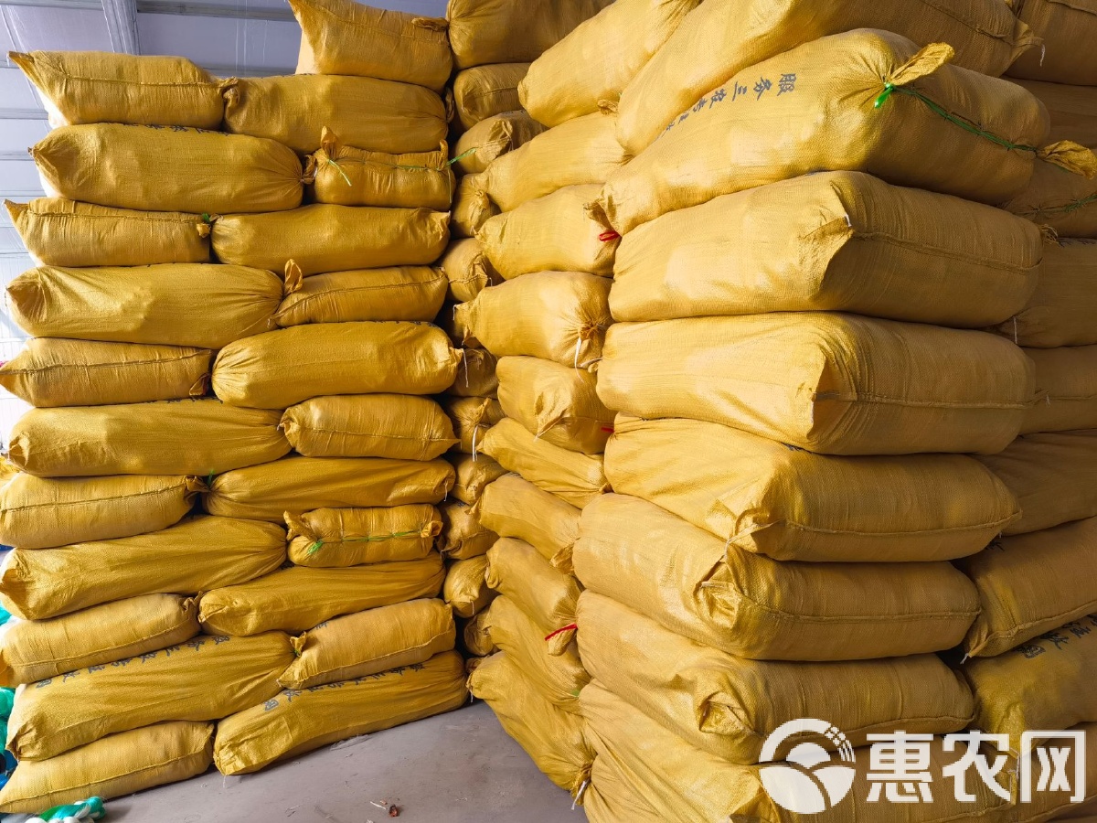 现货网(现货网格)