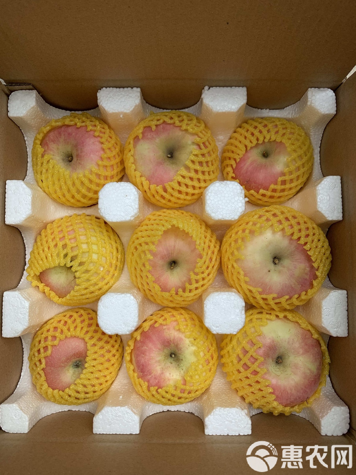 苹果现货(苹果期货走势最新消息)