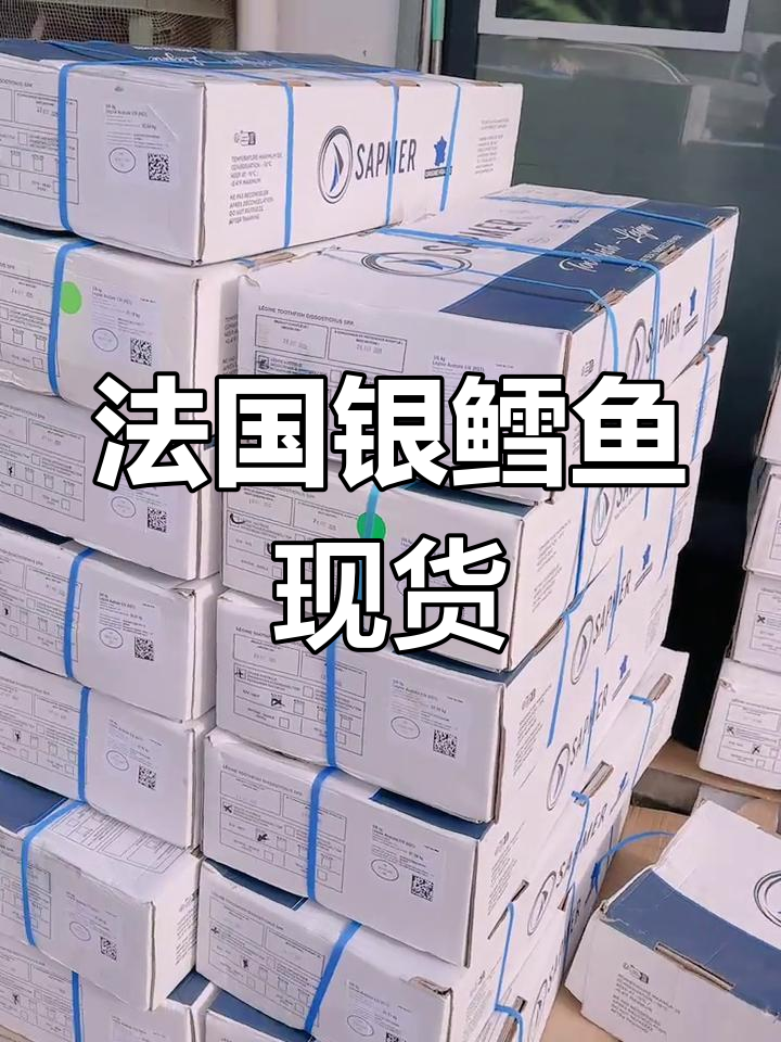 上海现货(上海现货铜价)