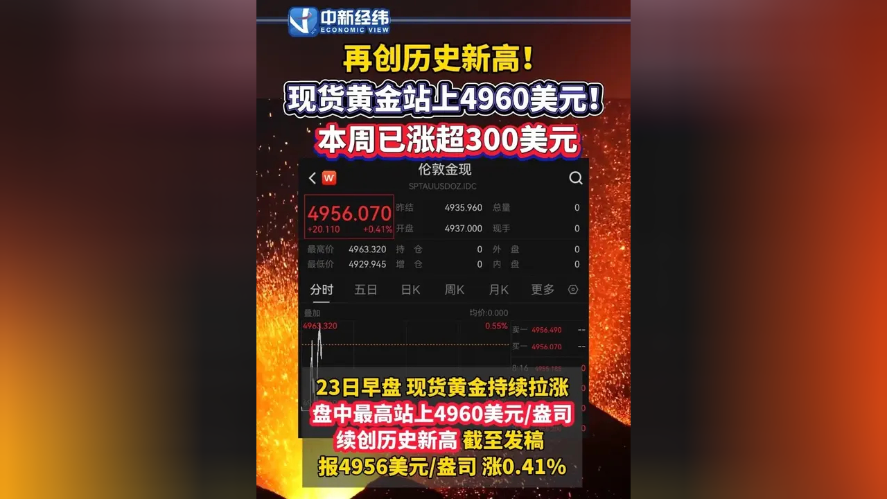 黄金与现货黄金(黄金现货黄金价格走势图)