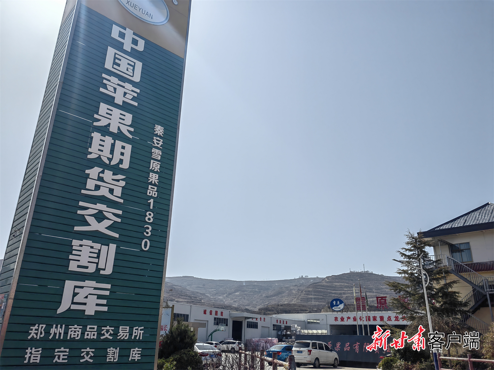 国内现货交易所(国内现货交易所排名)
